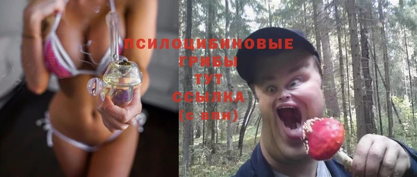 spice Строитель